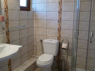 Фото номера Двухместный номер с 1 кроватью Гостевой дом Vila Transilvania г. Балваниос 23